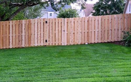 Cedar shadow box fence