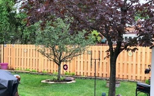 Cedar shadow box fence