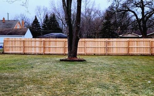 Cedar dog-ear picket fence